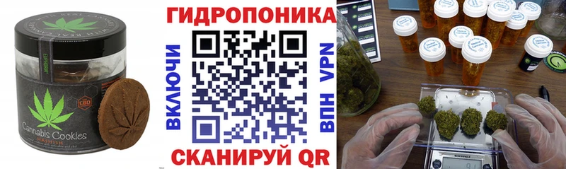 Купить где  Ковдор  Cannafood марихуана 