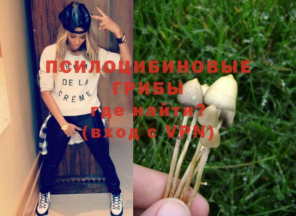 хмурый Медногорск